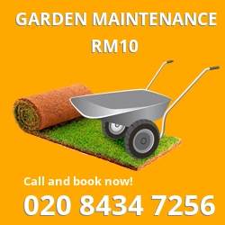 Dagenham tree removal cost RM10