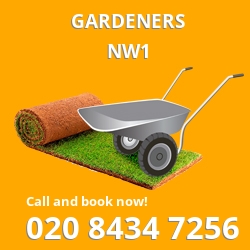 NW1 gardeners Somerstown