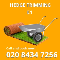 E1 garden trees services in Mile End