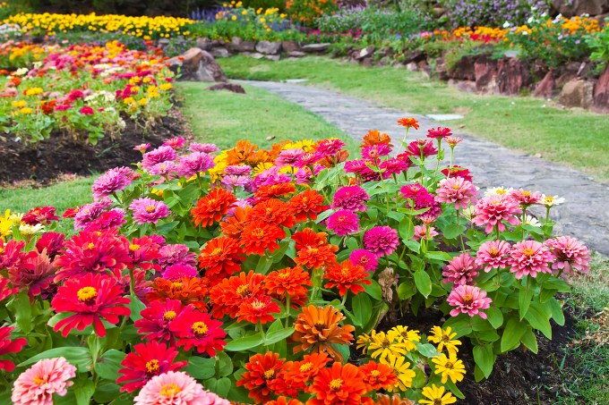 Flower garden design