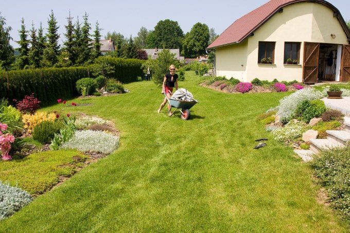 weed-free garden