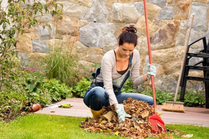 garden waste removal