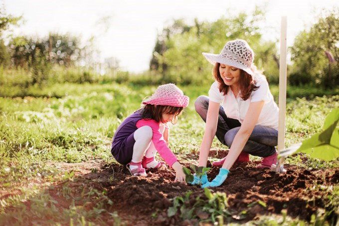 mulching