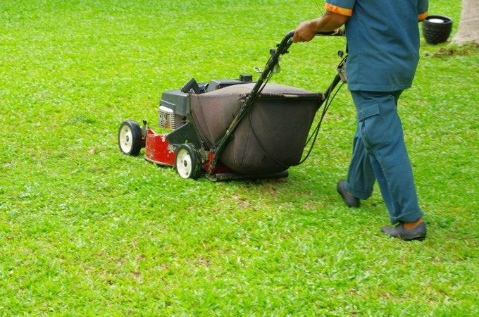 lawn maintenance