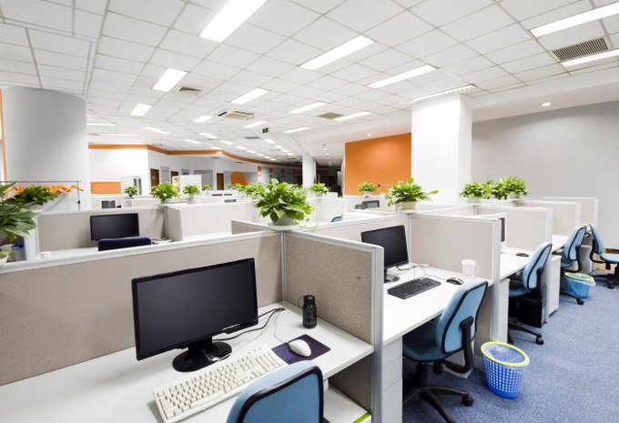 office plant care