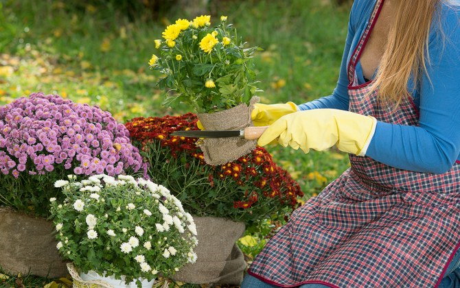 seasonal gardening