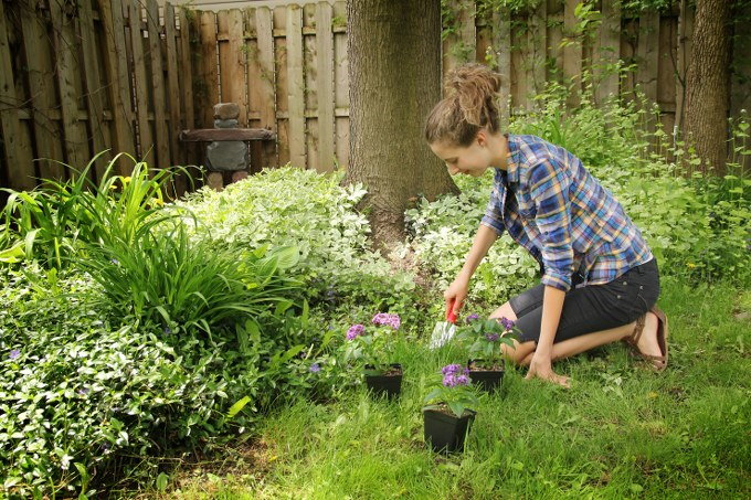 small garden care