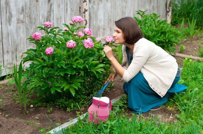 plant maintenance