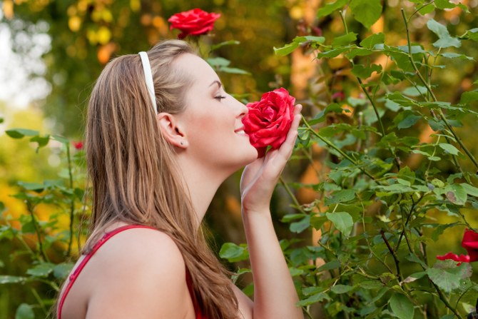 flowers blooming in spring