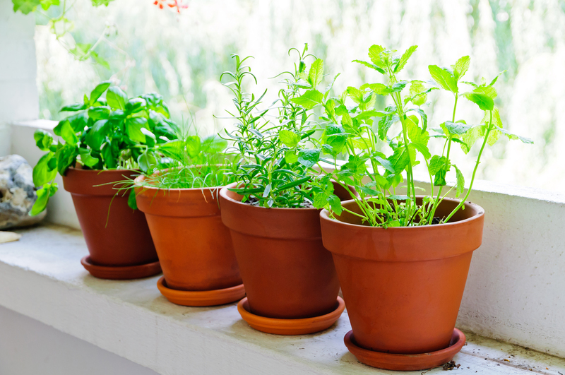 garden outdoor space