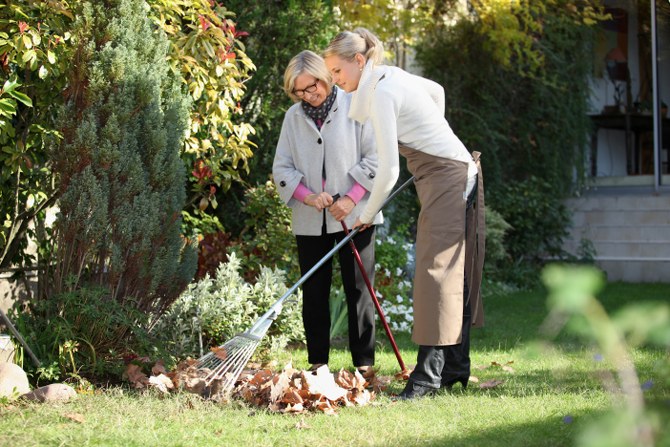 garden clearance