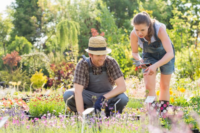 gardening maintenance