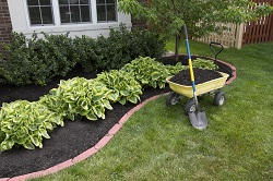 Strawberry Hill landscaping ideas for small gardens TW1