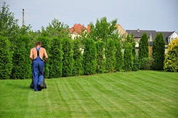 NW10 garden landscapers Kensal Rise