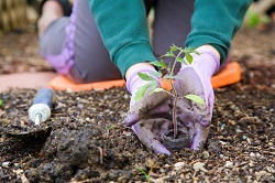 NW2 garden landscapers Neasden