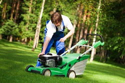 E14 grass cutting in Isle of Dogs