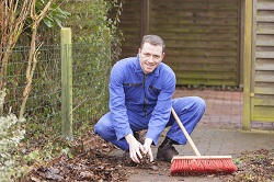 Bankside gardening services SE1