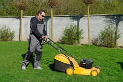 mowing lawns in Manor Park