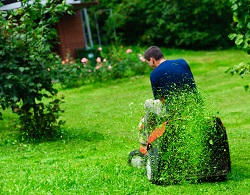 mowing lawns in Hanworth