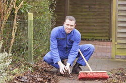 gardening services in Ladywell