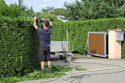 Frognal hedge trimming NW3