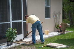 N22 hedge cutting services