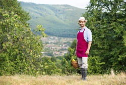 SE6 hedge cutting services