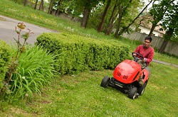 CB1 landscaping and gardening company in Cambridge