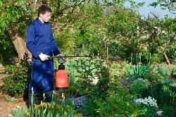 Cockfosters landscaping a small garden