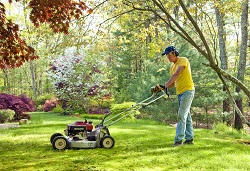 lawn care tips EC4