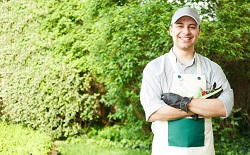 professional lawn care NW4