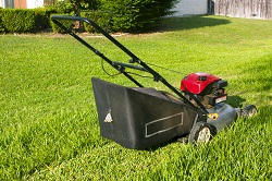 lawn care tips HA1