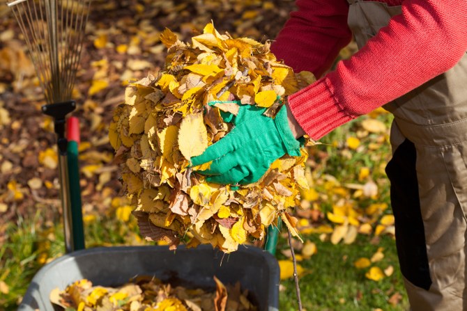 autumn gardening